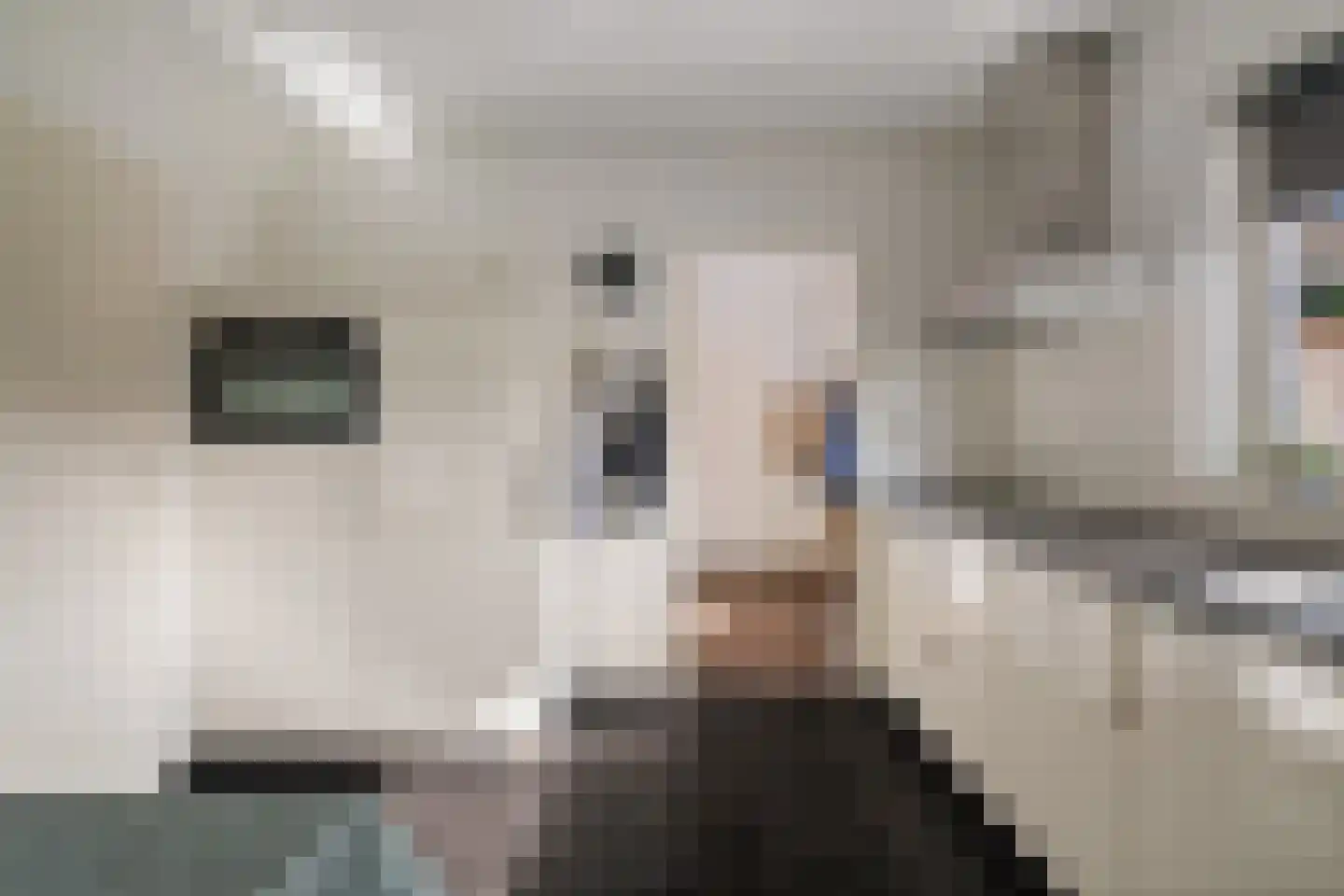 Duistervoordseweg 73 Twello thumbnail 19