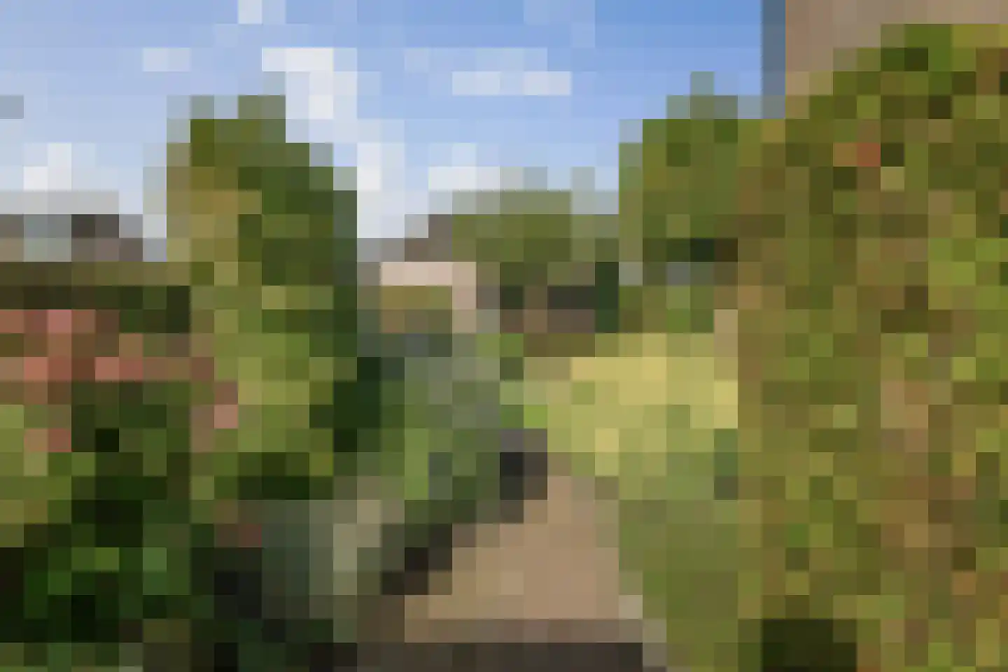 Duistervoordseweg 73 Twello thumbnail 43
