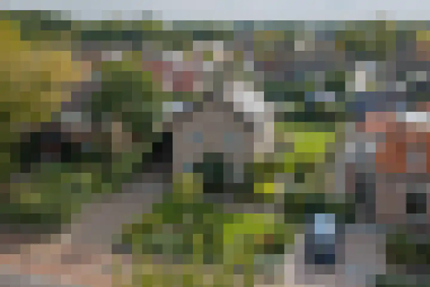Duistervoordseweg 73 Twello thumbnail 45