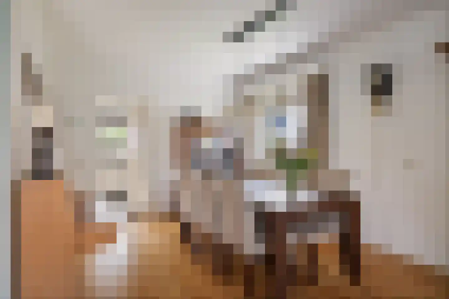 Duistervoordseweg 73 Twello thumbnail 6