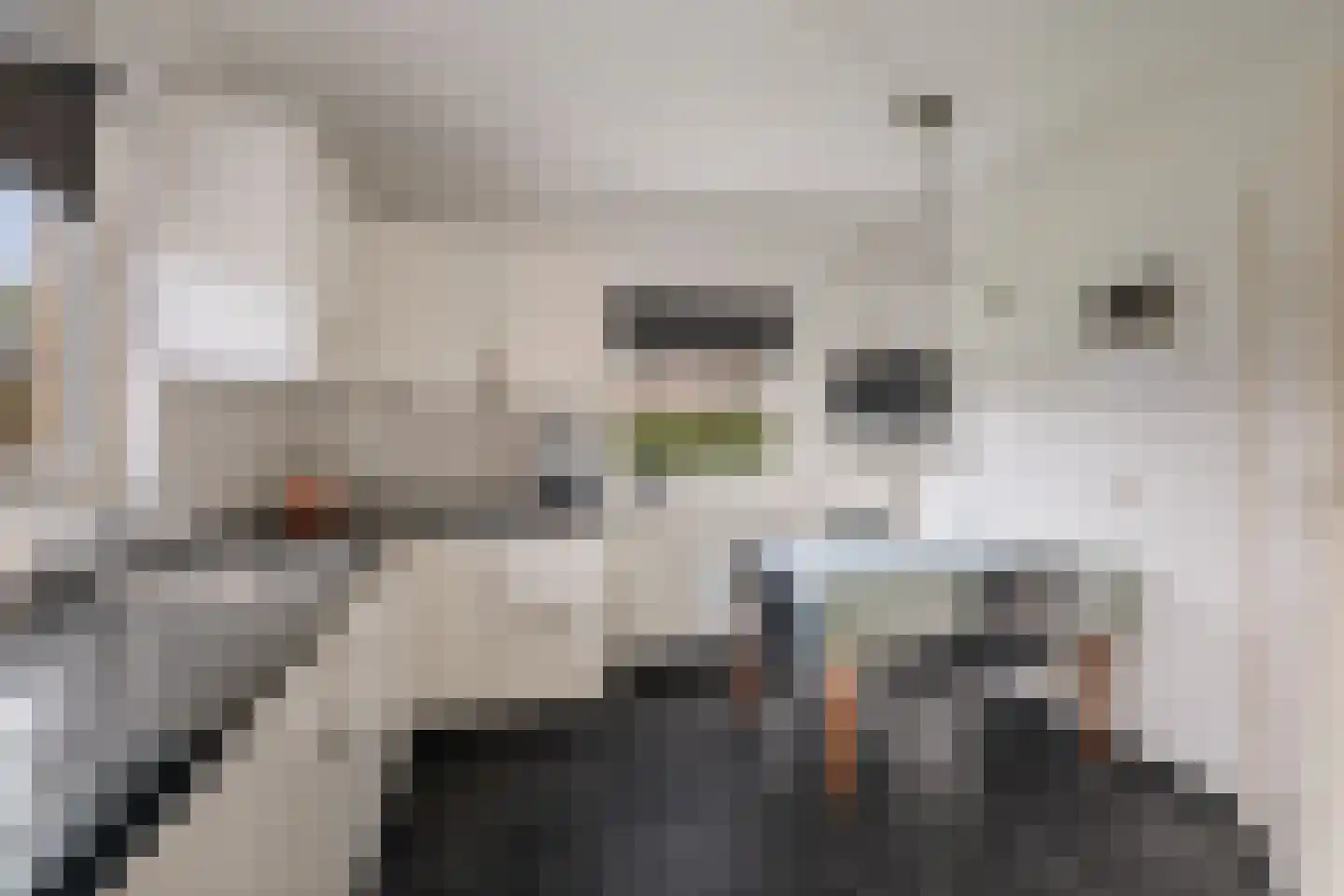 Duistervoordseweg 73 Twello thumbnail 7