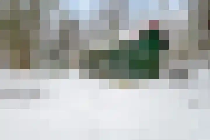 Duitsekampweg 21 Wolfheze thumbnail 35