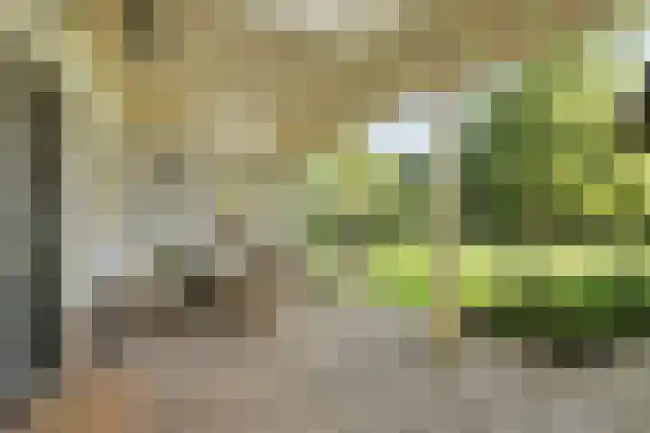 Duitsekampweg 6 Wolfheze thumbnail 17
