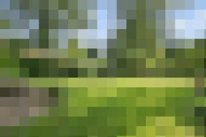 Duitsekampweg 6 Wolfheze thumbnail 18