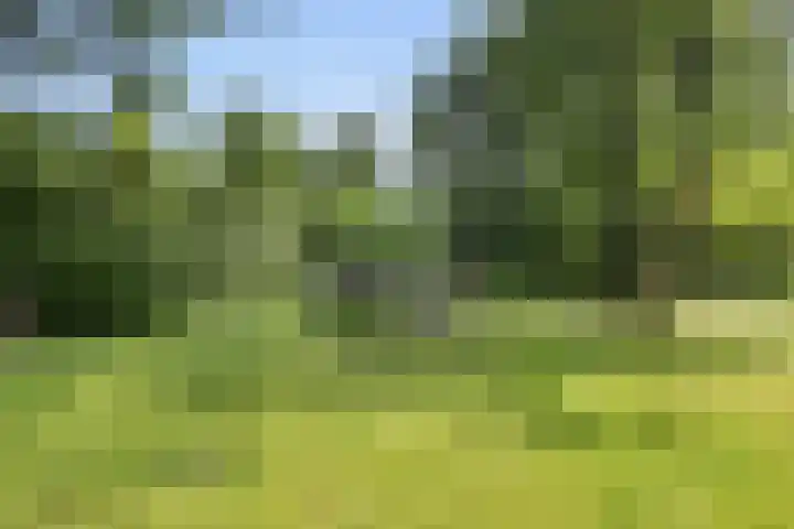 Duitsekampweg 6 Wolfheze thumbnail 19