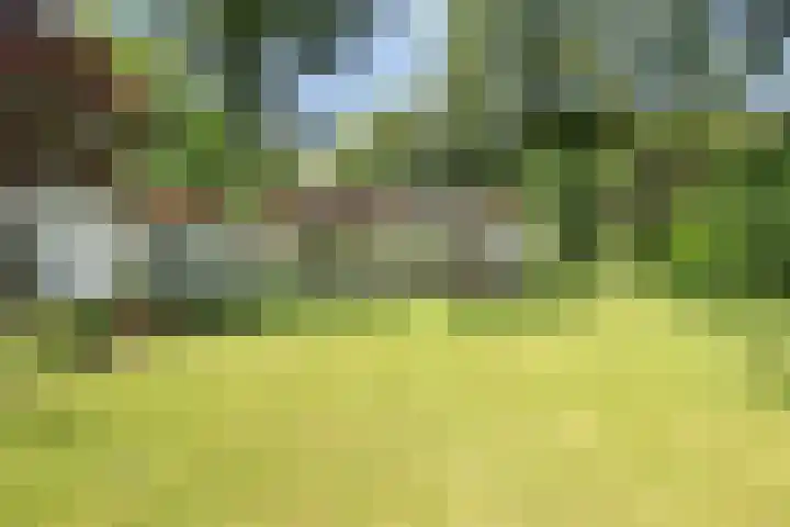 Duitsekampweg 6 Wolfheze thumbnail 20