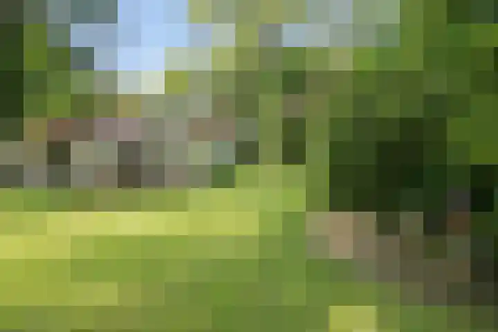 Duitsekampweg 6 Wolfheze thumbnail 21