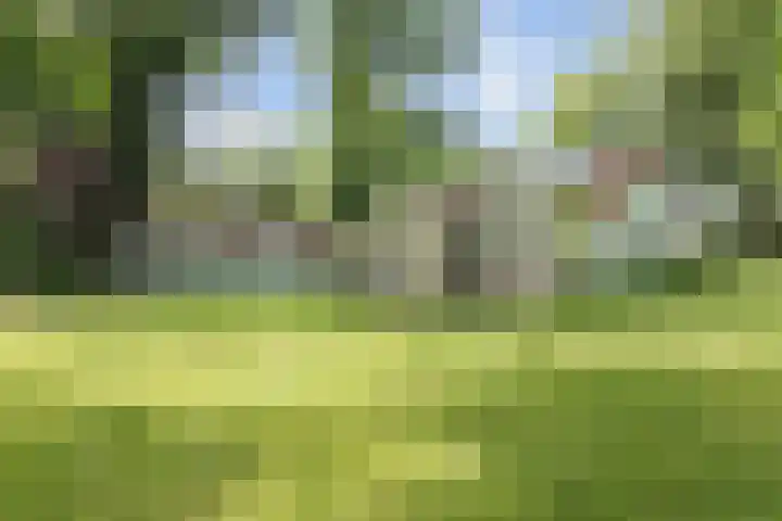 Duitsekampweg 6 Wolfheze thumbnail 22