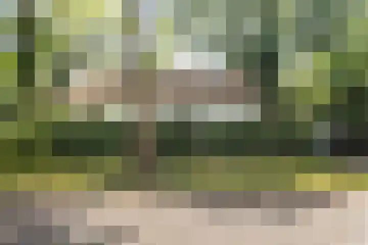 Duitsekampweg 6 Wolfheze thumbnail 5