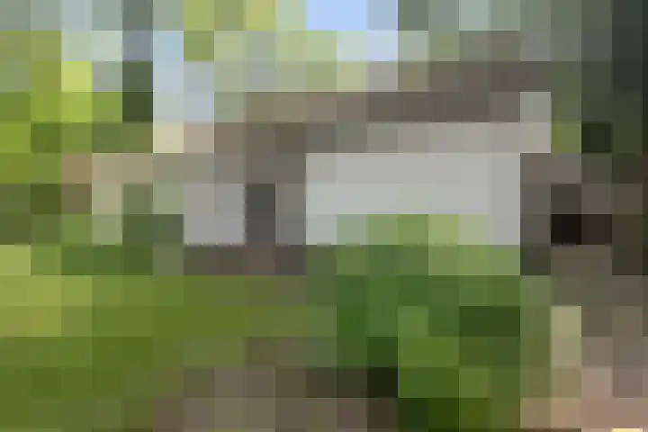 Duitsekampweg 6 Wolfheze thumbnail 6