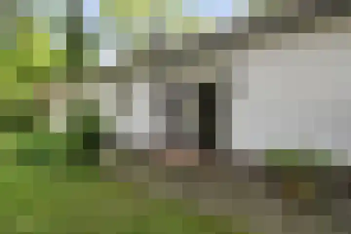 Duitsekampweg 6 Wolfheze thumbnail 7