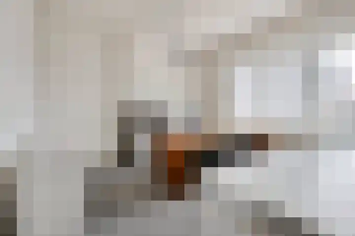 Duitsepoort 2 Maastricht thumbnail 14