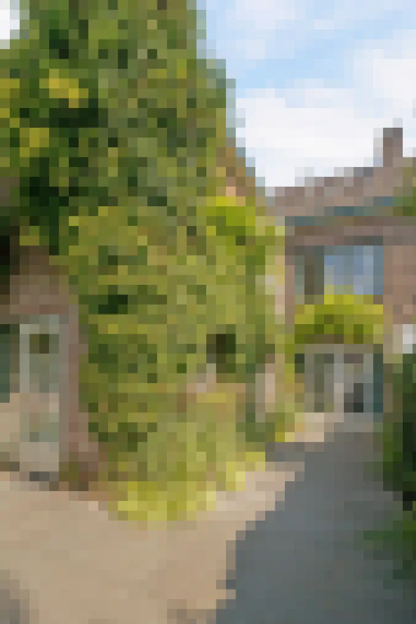 Duitsepoort 8 Maastricht thumbnail 31