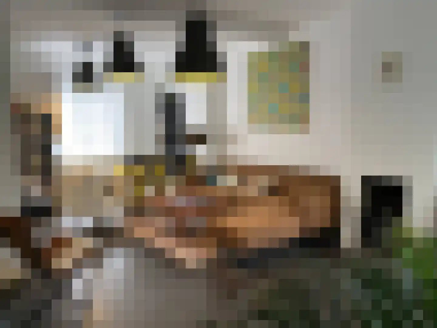 Duitsepoort 8 Maastricht thumbnail 7
