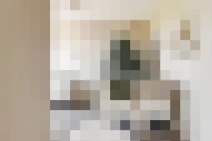 Duitslandlaan 1 De Lier thumbnail 15