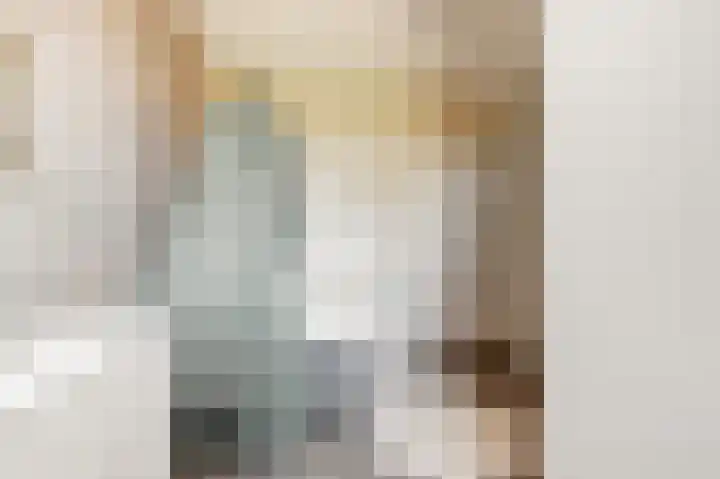 Duitslandlaan 1 De Lier thumbnail 16