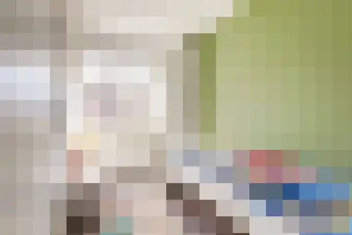 Duitslandlaan 1 De Lier thumbnail 18
