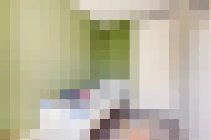 Duitslandlaan 1 De Lier thumbnail 19