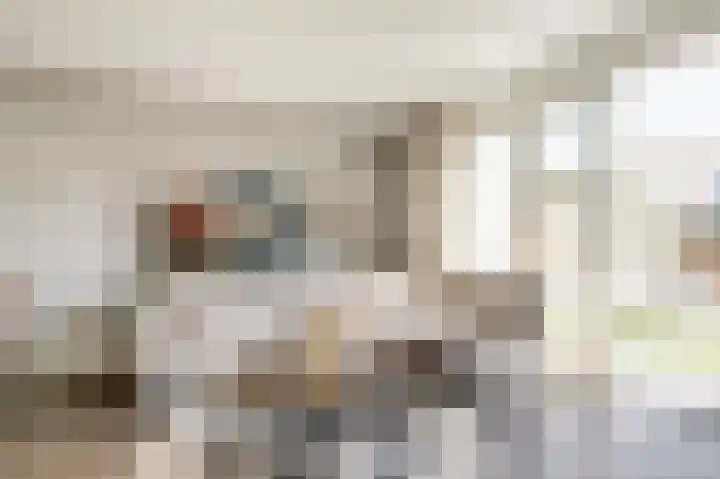 Duitslandlaan 1 De Lier thumbnail 4