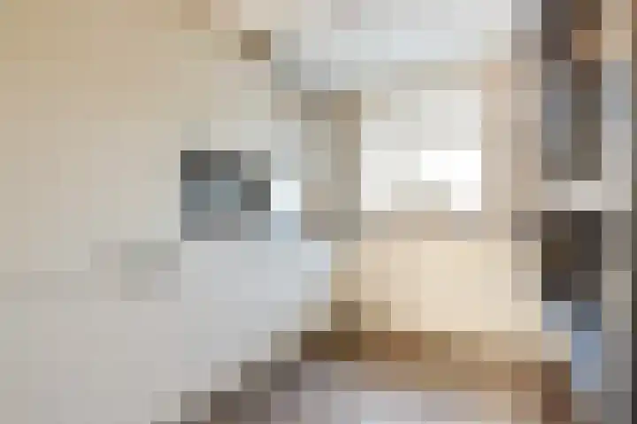 Duitslandlaan 1 De Lier thumbnail 5