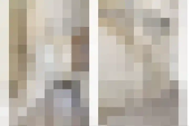 Duitslandlaan 1 De Lier thumbnail 7