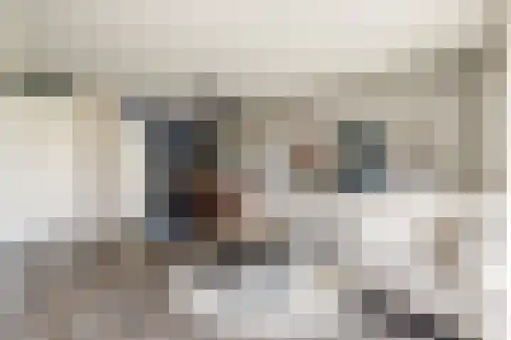 Duitslandlaan 1 De Lier thumbnail 9