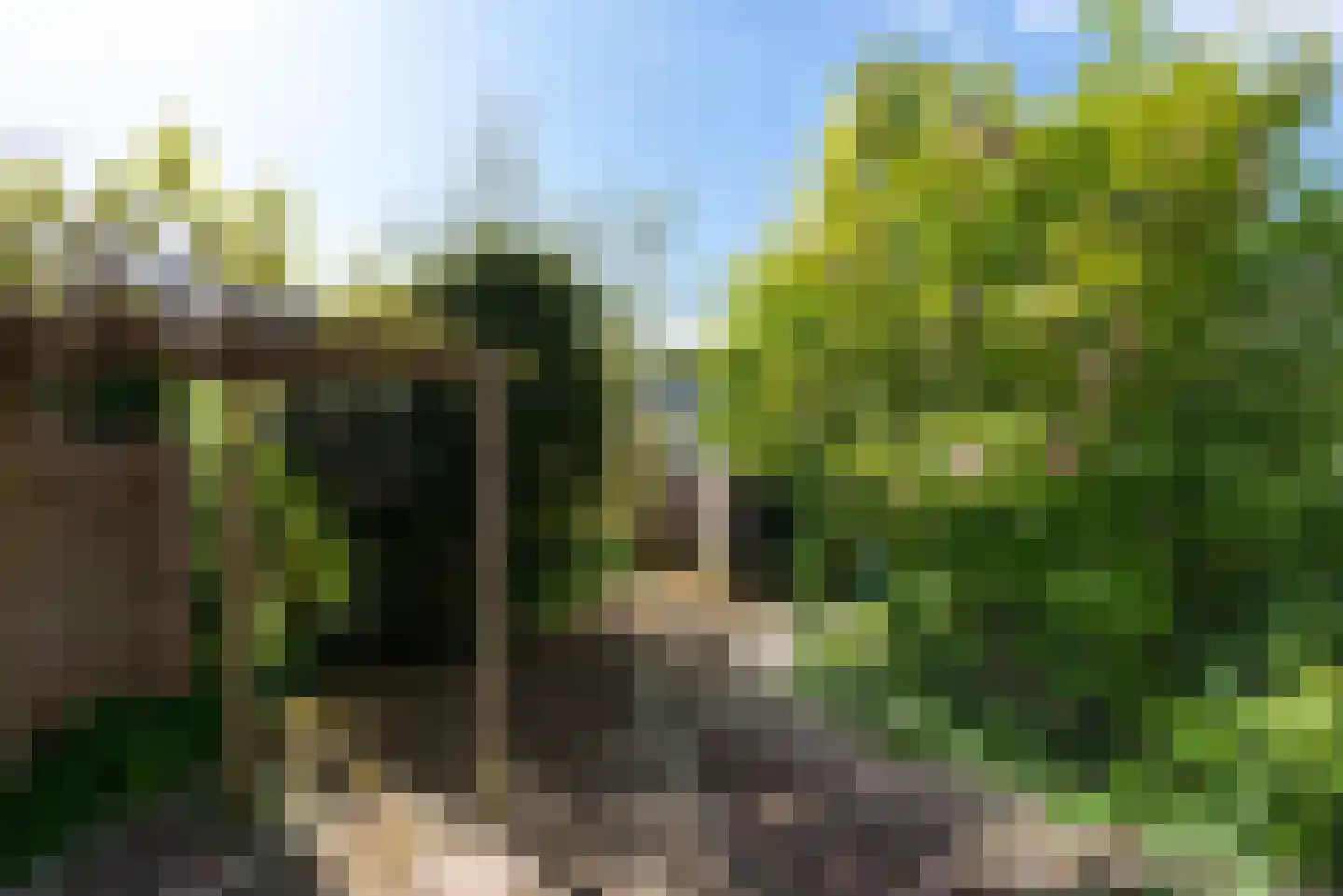 Duitslandlaan 16 Haarlem thumbnail 21