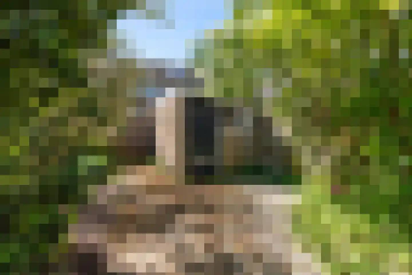 Duitslandlaan 16 Haarlem thumbnail 22