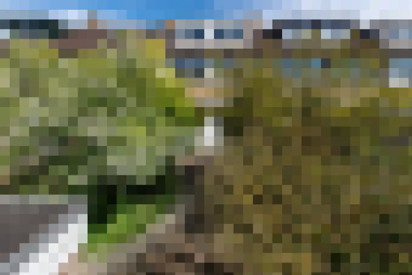 Duitslandlaan 16 Haarlem thumbnail 23