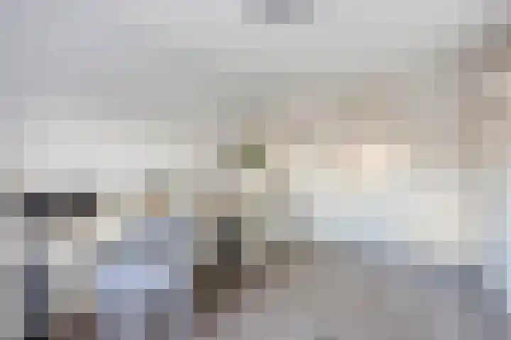 Duitslandlaan 20 Heemskerk thumbnail 10