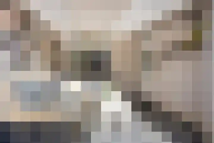 Duitslandlaan 20 Heemskerk thumbnail 25
