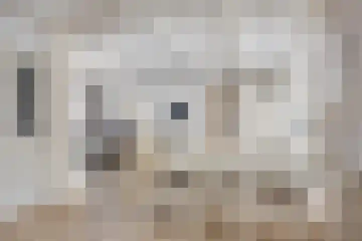 Duitslandlaan 20 Heemskerk thumbnail 5