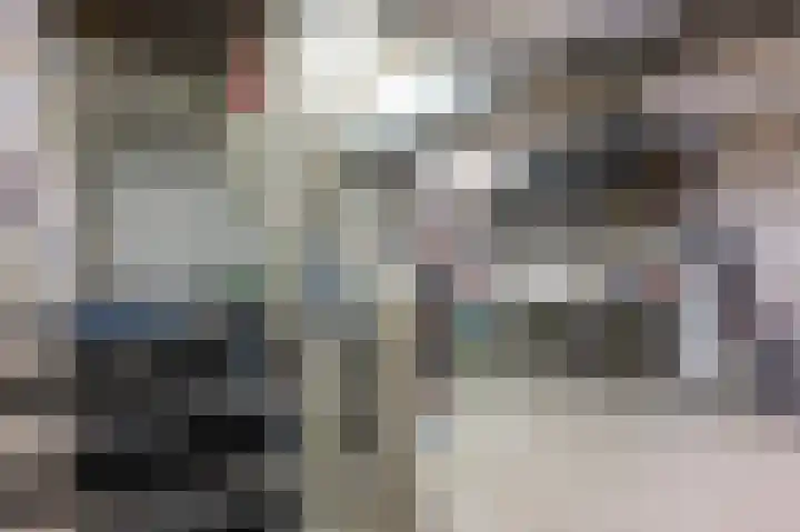 Duitslandlaan 21 Heerlen thumbnail 16