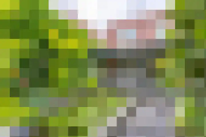 Duitslandlaan 21 Heerlen thumbnail 18