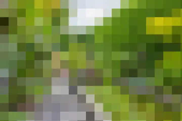 Duitslandlaan 21 Heerlen thumbnail 20