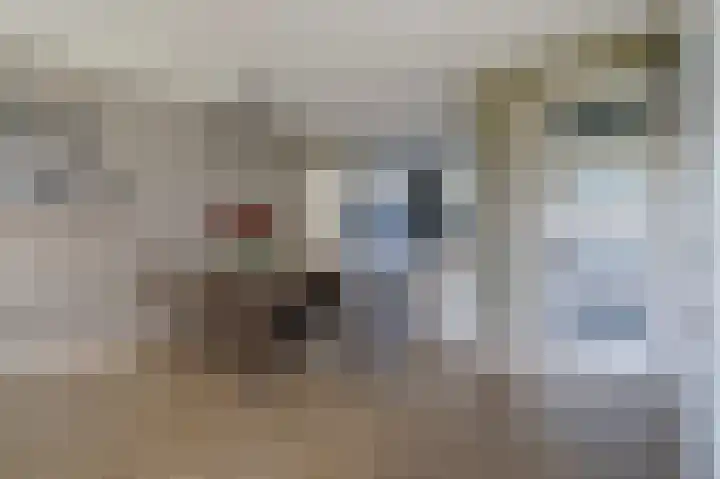 Duitslandlaan 31 De Lier thumbnail 12
