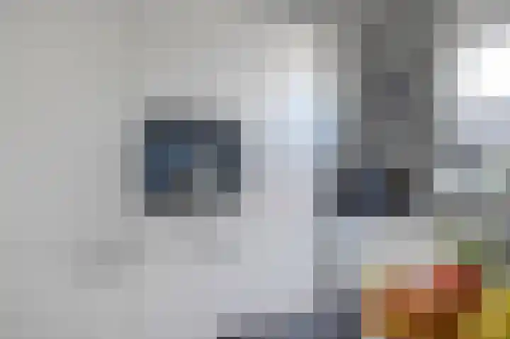Duitslandlaan 31 De Lier thumbnail 13