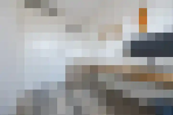 Duitslandlaan 35 De Lier thumbnail 18