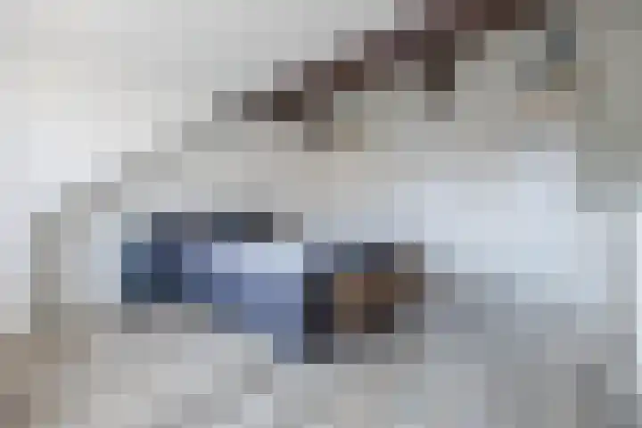 Duitslandlaan 35 De Lier thumbnail 25