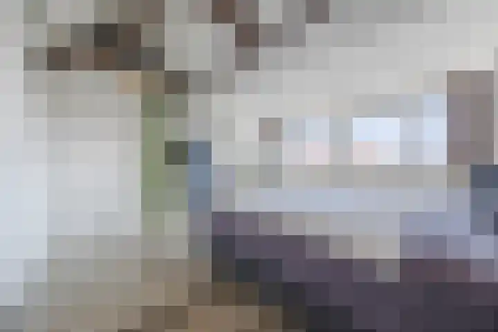 Duitslandlaan 35 De Lier thumbnail 28