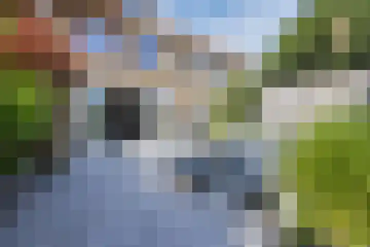 Duitslandlaan 35 De Lier thumbnail 33