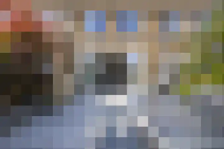 Duitslandlaan 35 De Lier thumbnail 34