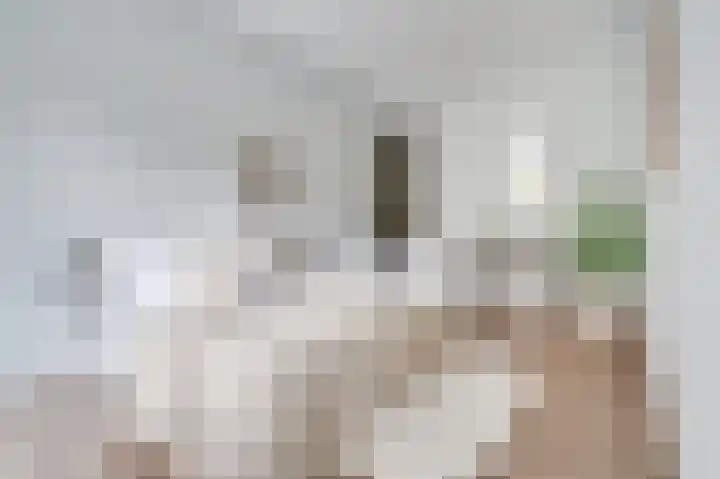 Duitslandlaan 468 Zoetermeer thumbnail 10