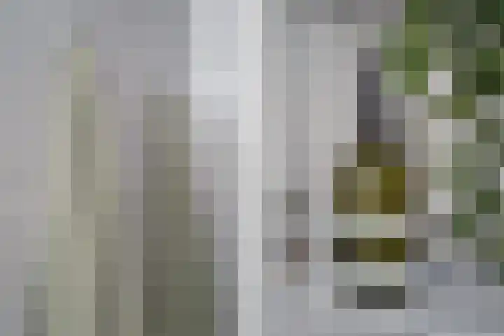 Duitslandlaan 468 Zoetermeer thumbnail 14