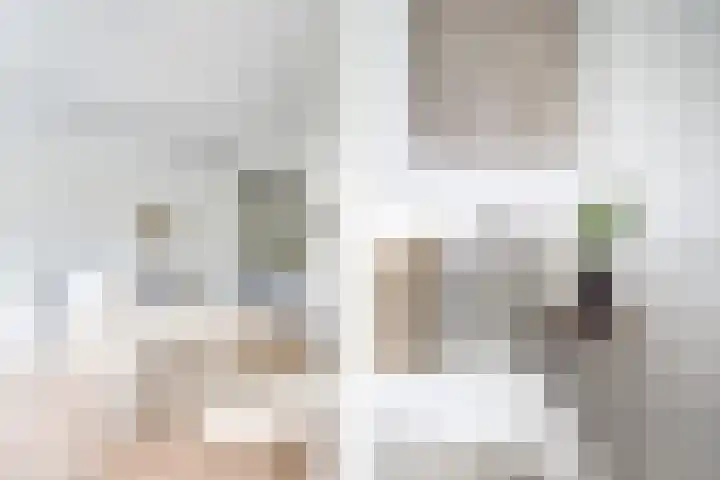 Duitslandlaan 468 Zoetermeer thumbnail 17