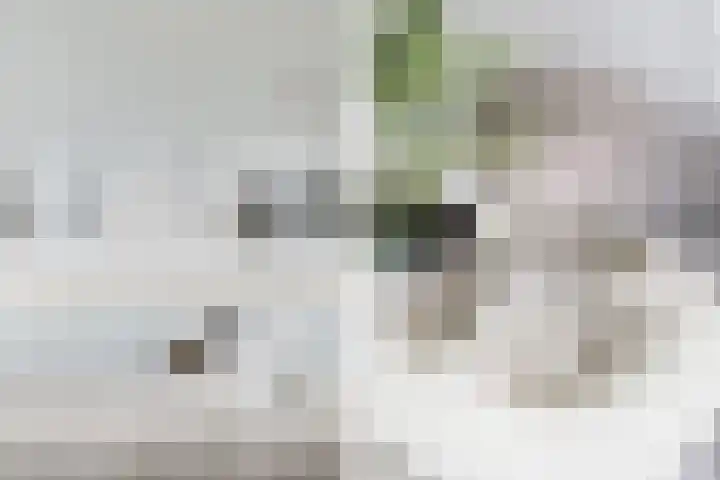 Duitslandlaan 484 Zoetermeer thumbnail 23
