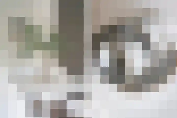 Duitslandlaan 484 Zoetermeer thumbnail 9