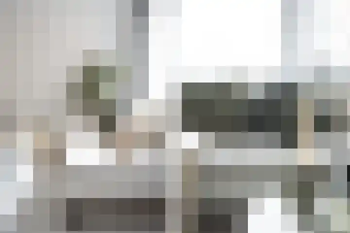 Duitslandlaan 488 Zoetermeer thumbnail 12