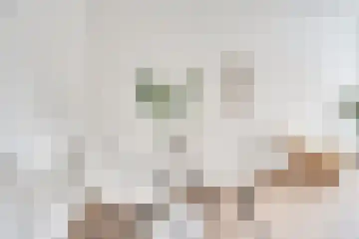 Duitslandlaan 488 Zoetermeer thumbnail 14