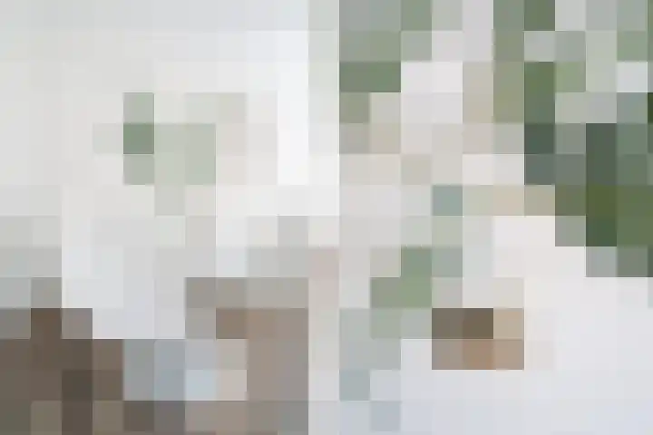 Duitslandlaan 488 Zoetermeer thumbnail 15